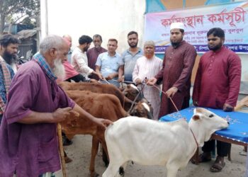 আত্মকর্মসংস্থানের লক্ষ্যে চাঁপাইনবাবগঞ্জে নূরুল ইসলাম বুলবুলের গাভী বিতরণ
